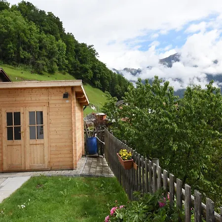 In Near Pizol Skiing, Cleaning Included * Mastrils